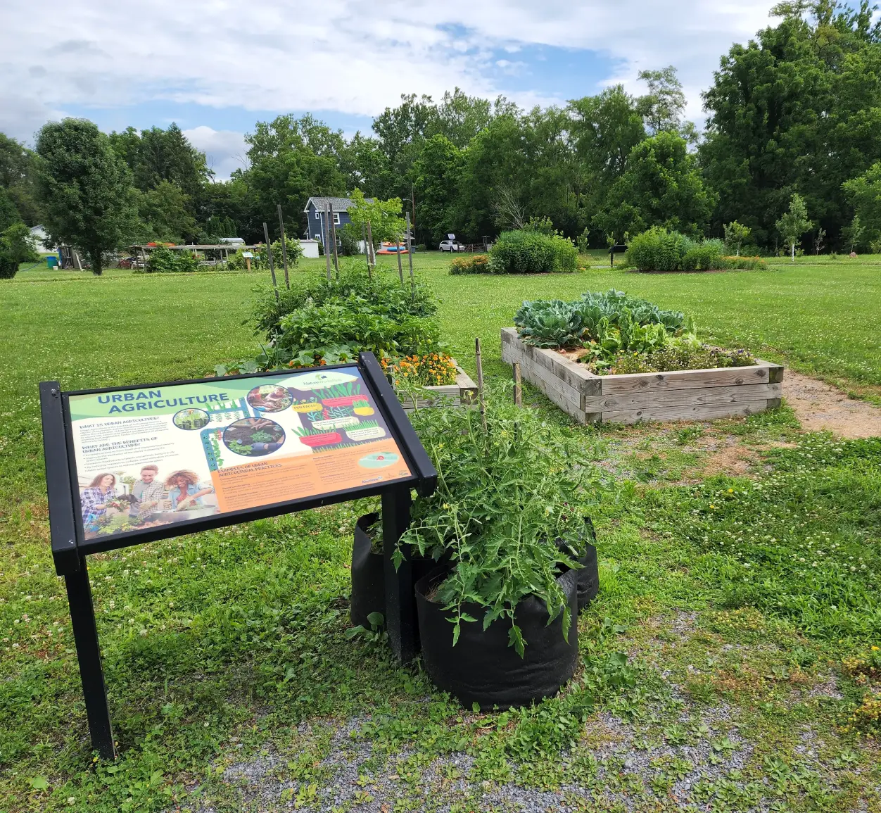 urban agriculture in nature park