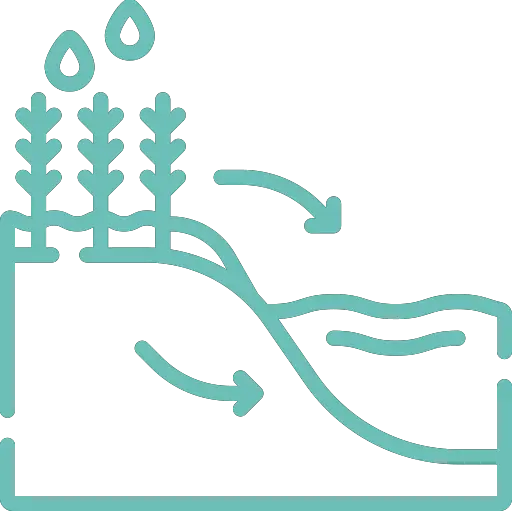 rainwater