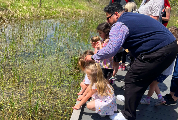 wetland observation at nature park