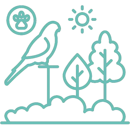 wildlife
