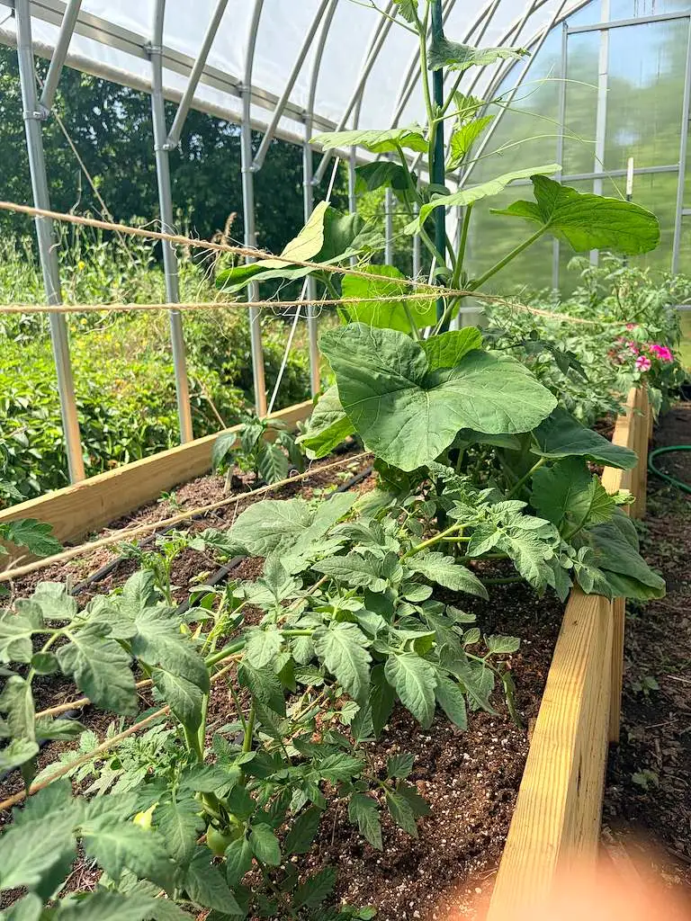 agriculture conservation at nature park